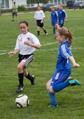 IMG 7101